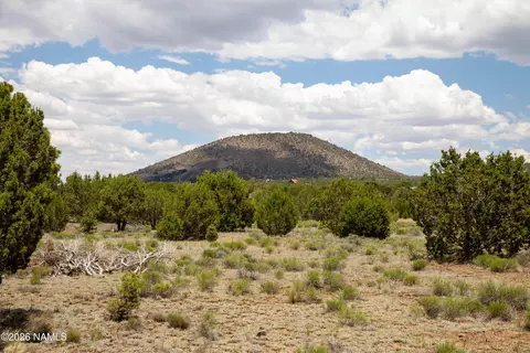 5124 N Wilshire Dr, Williams, AZ 86046