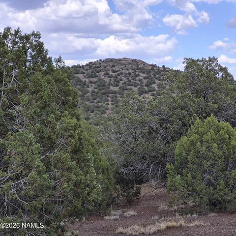 4180 N Muriel Dr, Williams, AZ 86046