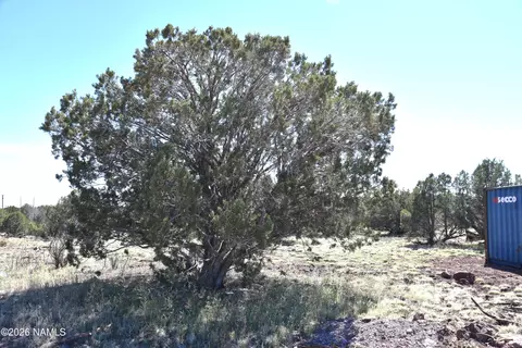 3744 N Verde Rd, Williams, AZ 86046 photo 10