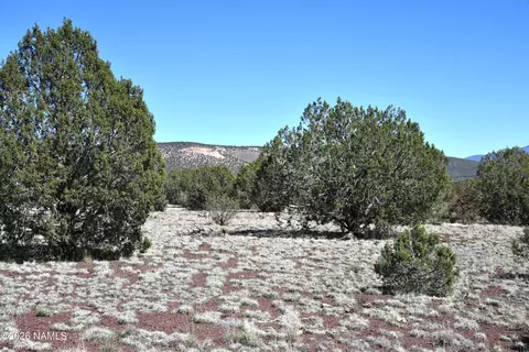 3744 N Verde Rd, Williams, AZ 86046 photo 14