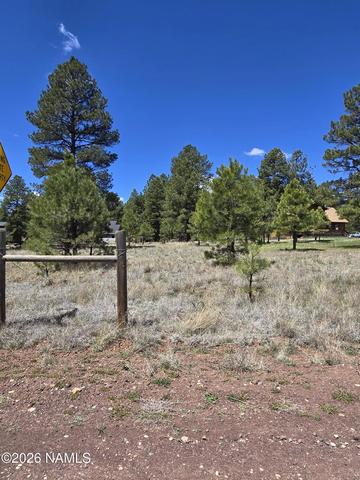 2335 S Ash Ln, Flagstaff, AZ 86004