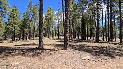 4611 E Monroe St, Flagstaff, AZ 86004 photo 3
