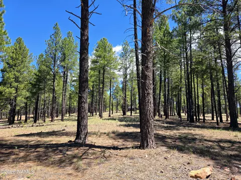 4611 E Monroe St, Flagstaff, AZ 86004 photo 1