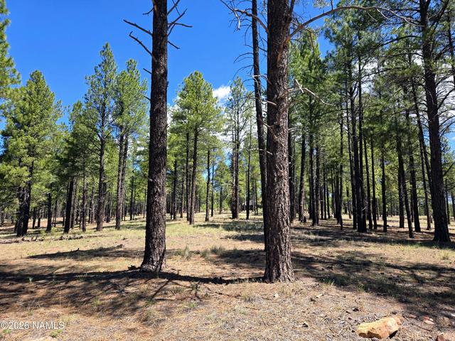 4611 E Monroe St, Flagstaff, AZ 86004