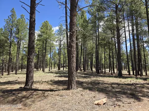 4611 E Monroe St, Flagstaff, AZ 86004 photo 2