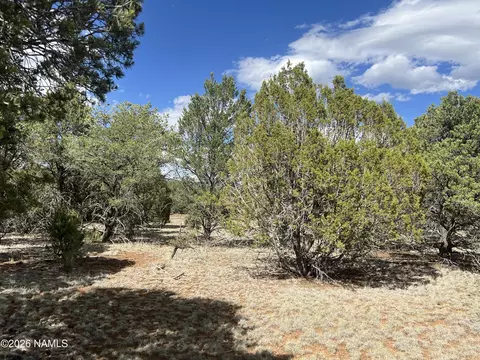 7432 Daisy Dr, Williams, AZ 86046 photo 6
