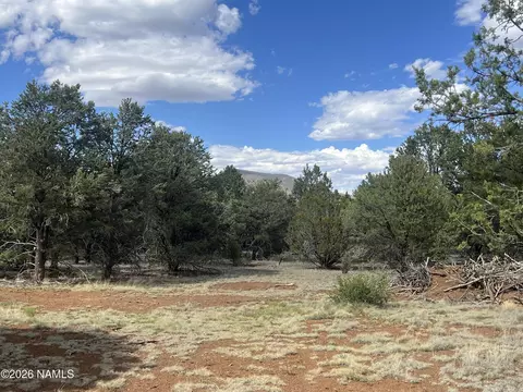 7432 Daisy Dr, Williams, AZ 86046 photo 9