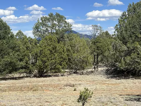 7432 Daisy Dr, Williams, AZ 86046 photo 17