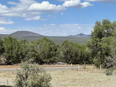 7432 Daisy Dr, Williams, AZ 86046 photo 5