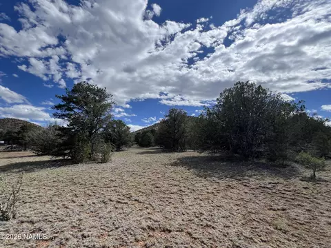 7432 Daisy Dr, Williams, AZ 86046 photo 19