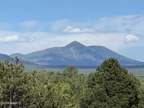 7432 Daisy Dr, Williams, AZ 86046 photo 2