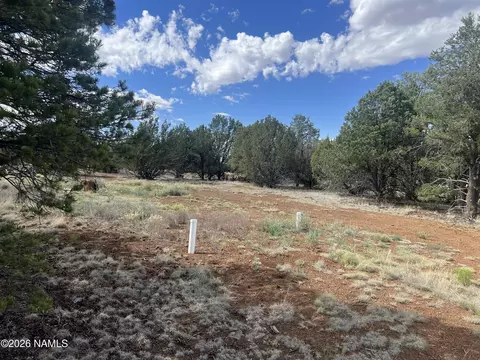 7432 Daisy Dr, Williams, AZ 86046 photo 8