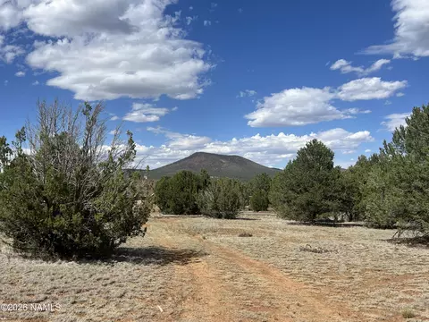 7432 Daisy Dr, Williams, AZ 86046 photo 16