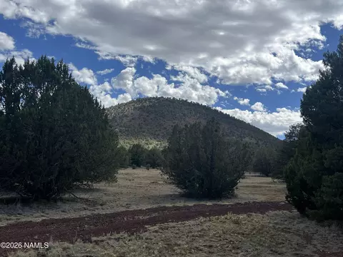 7432 Daisy Dr, Williams, AZ 86046 photo 3