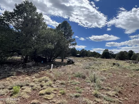 7432 Daisy Dr, Williams, AZ 86046 photo 7