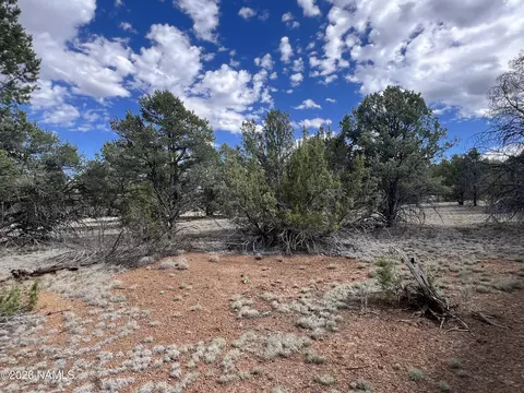 7432 Daisy Dr, Williams, AZ 86046 photo 10