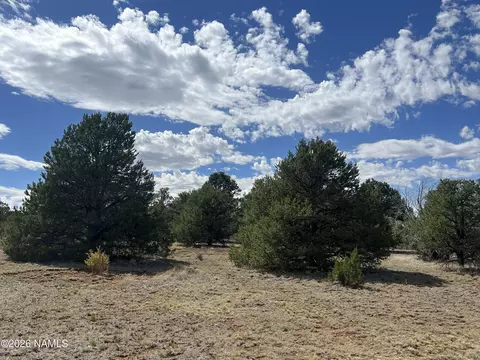7432 Daisy Dr, Williams, AZ 86046 photo 15