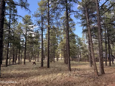 3222 W Grey Hawk #257, Williams, AZ 86046