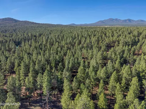 Other - 7340 E Long Bow Dr, Williams, AZ 86046 photo 7 of 11