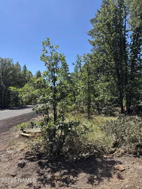 46 E Oak Dr, Munds Park, AZ 86017