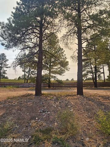 2130 Shaded Spring Trl, Flagstaff, AZ 86005