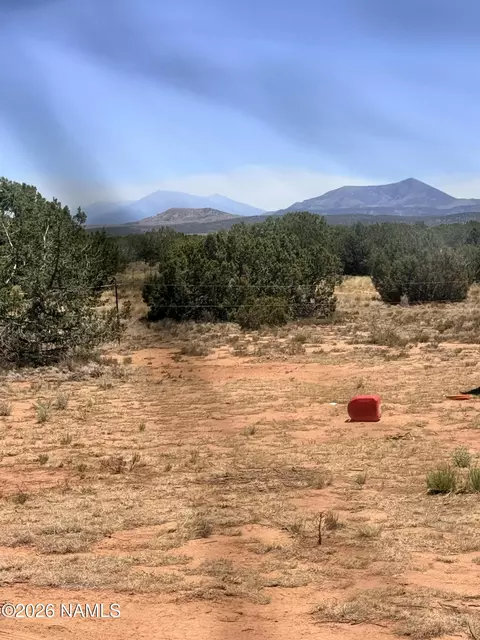 4209 E Parkway Dr, Williams, AZ 86046 photo 10