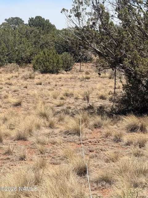 4209 E Parkway Dr, Williams, AZ 86046 photo 6