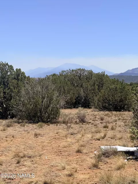 4209 E Parkway Dr, Williams, AZ 86046 photo 2