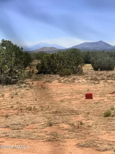 4209 E Parkway Dr, Williams, AZ 86046 photo 11