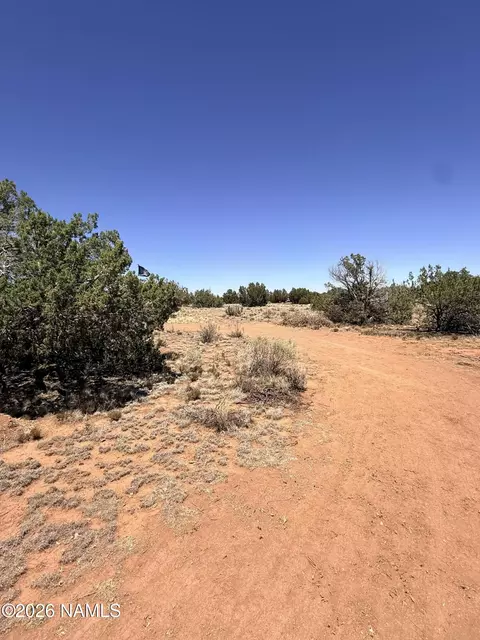 4209 E Parkway Dr, Williams, AZ 86046 photo 12