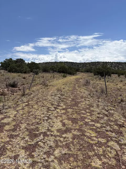 11371 Howard Mesa Loop, Williams, AZ 86046 photo 8