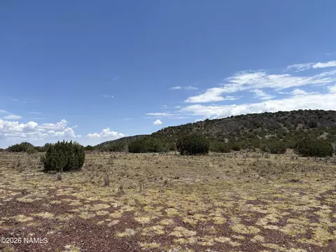 11371 Howard Mesa Loop, Williams, AZ 86046 photo 6