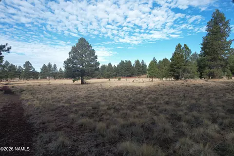 tbd Forest Ranches Loop, Parks, AZ 86018