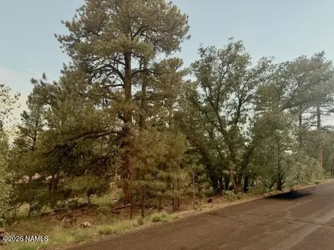 645 E Trout Creek Rd, Munds Park, AZ 86017