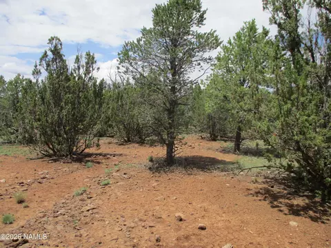 1237 E Alimos Way, Williams, AZ 86046 photo 19
