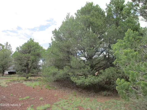 1237 E Alimos Way, Williams, AZ 86046 photo 5