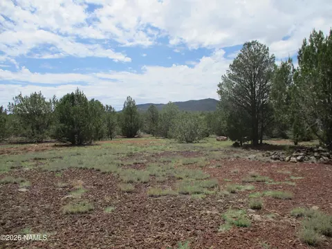 1237 E Alimos Way, Williams, AZ 86046 photo 12
