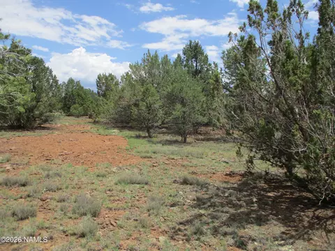 1237 E Alimos Way, Williams, AZ 86046 photo 22