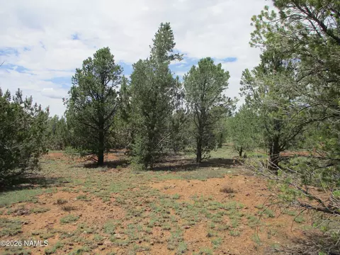 1237 E Alimos Way, Williams, AZ 86046 photo 18