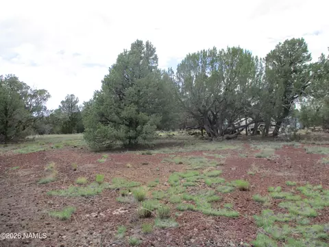 1237 E Alimos Way, Williams, AZ 86046 photo 4