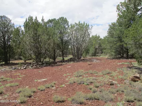 1237 E Alimos Way, Williams, AZ 86046 photo 13