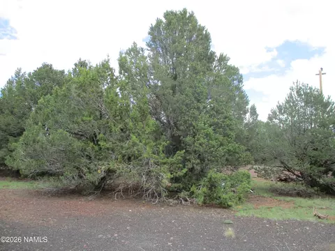 1237 E Alimos Way, Williams, AZ 86046 photo 3