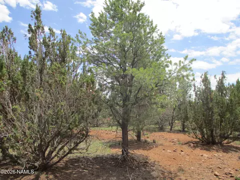 1237 E Alimos Way, Williams, AZ 86046 photo 21