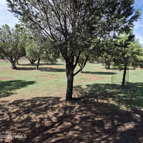 Exterior - 1112 E Tamarack St, Williams, AZ 86046 photo 8 of 9