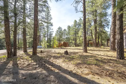 4263 Canyon Loop, Flagstaff, AZ 86005 photo 4