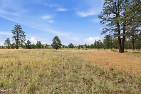 6314 E Burris Ln, Flagstaff, AZ 86004 photo 7