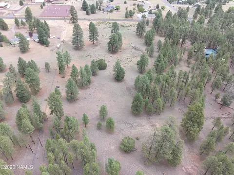 6314 E Burris Ln, Flagstaff, AZ 86004 photo 11