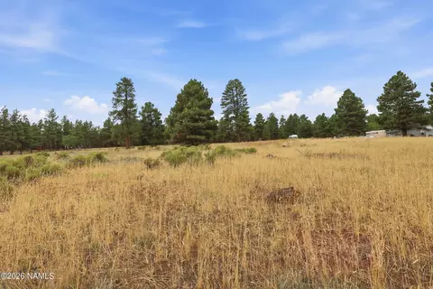 6314 E Burris Ln, Flagstaff, AZ 86004 photo 10