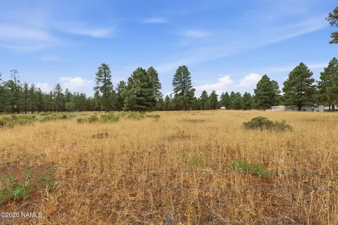 6314 E Burris Ln, Flagstaff, AZ 86004 photo 8