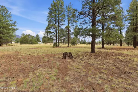 6314 E Burris Ln, Flagstaff, AZ 86004 photo 6